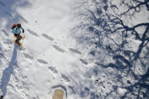 snow-shoe-hike-2875538_1280